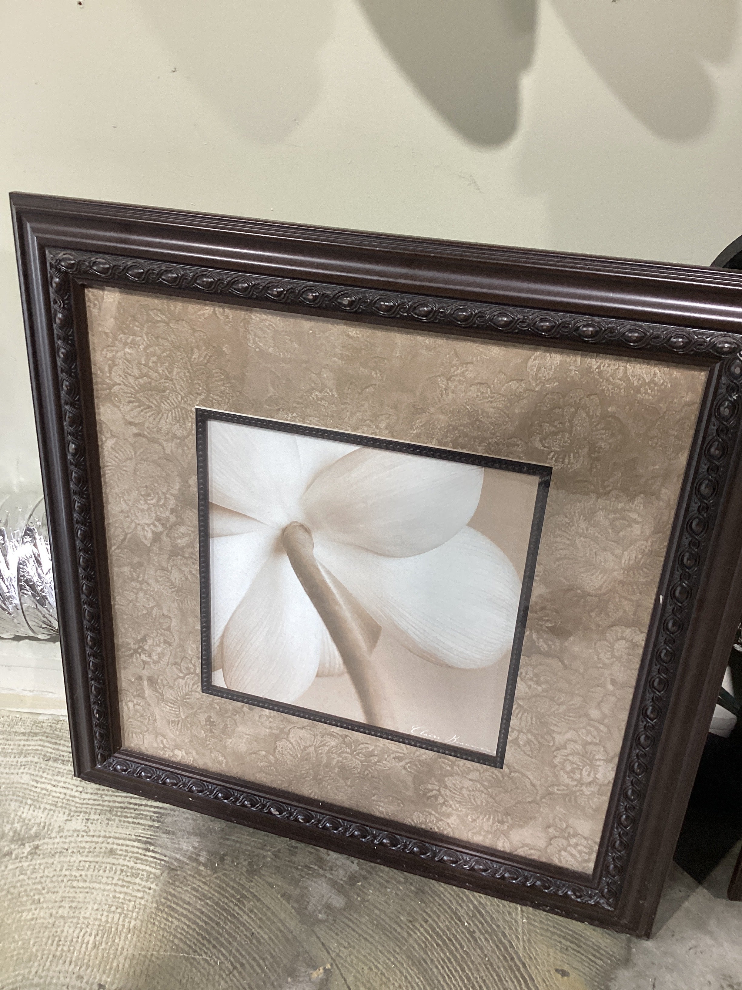 Floral pictures