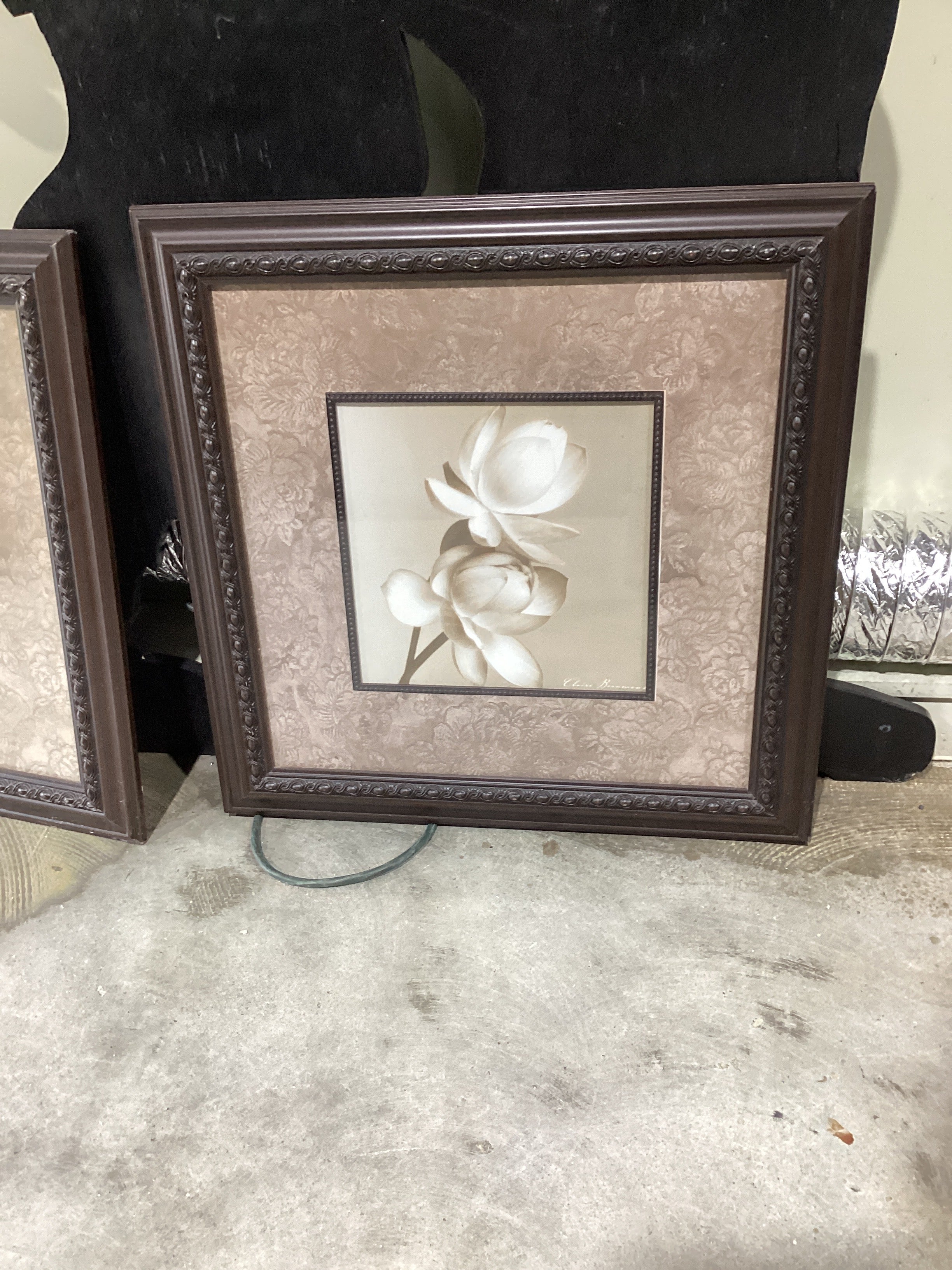 Floral pictures
